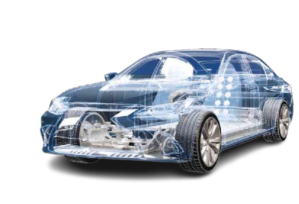 开云app在线登陆