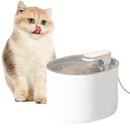 开云app在线登陆